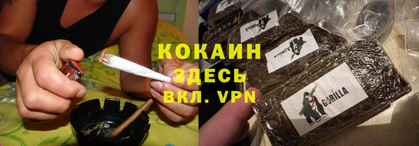 дживик Сатка